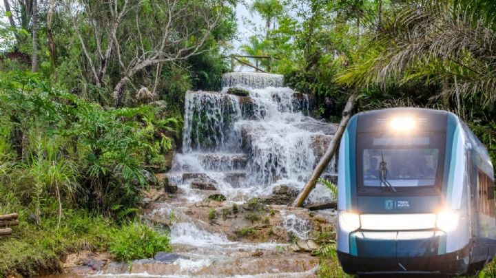 Tren Maya: Las increíbles reservas de la biósfera que puedes visitar desde sus estaciones