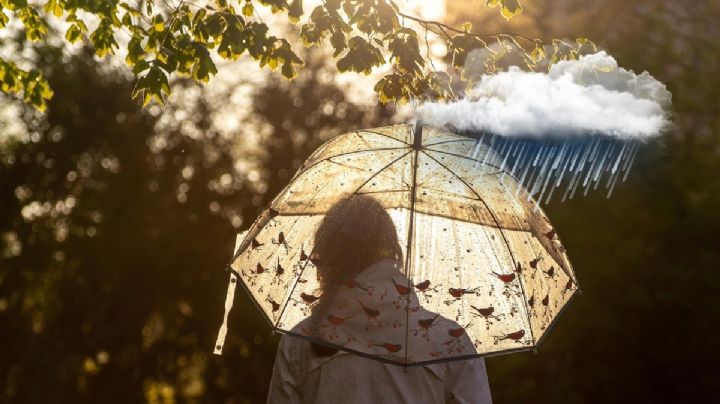 Clima hoy 20 de febrero: Lluvias, posible caída de nieve y calor de 40 grados