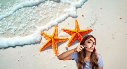 ¿Qué significa ver una estrella de mar en tu viaje a la playa? Esto dicen expertos