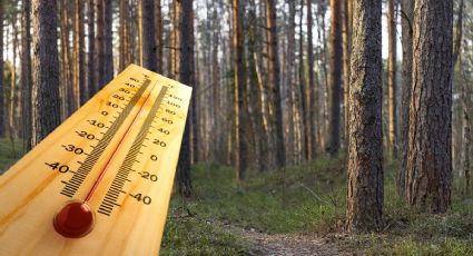 Ambiente caluroso con hasta 45 grados y lluvias aisladas: Así el clima hoy 6 de febrero