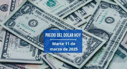 Tipo de cambio: Así cotiza el precio del dólar HOY 11 de marzo de 2025 en México