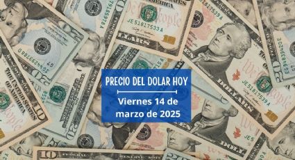 Tipo de cambio: Así cotiza el dólar HOY 14 de marzo de 2025 en México