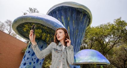 Spora: ¿No viste los Macrohongos en Chapultepec? Te decimos hasta cuándo estarán