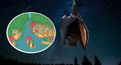 Xochimilco tendrá Noches de Murciélagos y así puedes disfrutarlas: SEDEMA