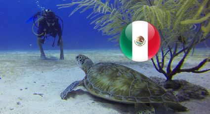 Semana Santa y Pascua atrajeron a 15 millones de viajeros a México: SECTUR