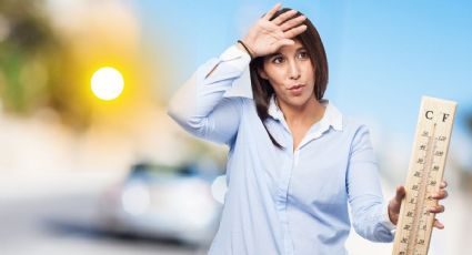 Frente Frío, heladas y onda de calor con hasta 45 grados: Así el clima hoy 29 de abril