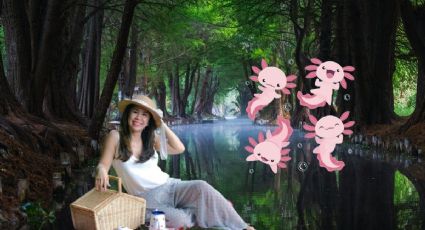 Picnic nocturno llega a Xochimilco para disfrutar entre ajolotes