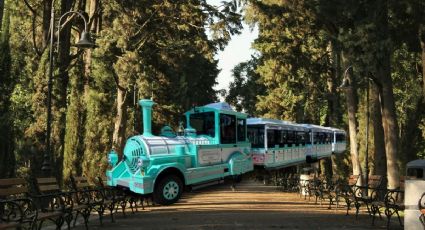 ¿Cuánto cuesta subirse al trenecito de Chapultepec en 2025 para ir el fin de semana?