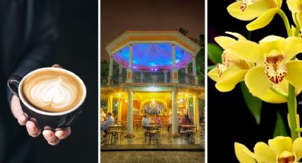 El primer Pueblo Mágico de Veracruz para disfrutar entre aroma a café y orquídeas