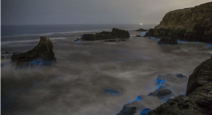 Las playas mexicanas que brillan de noche: Fechas para ver la bioluminiscencia