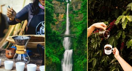Ruta del café, cascadas y puentes colgantes en un Pueblo Mágico de Puebla