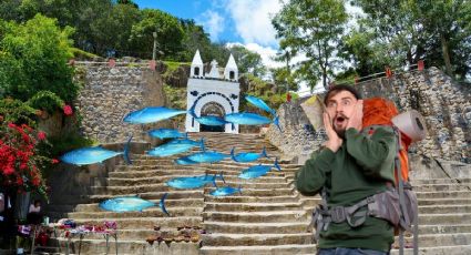 El misterioso destino de Latinoamérica donde llueven peces cada temporada