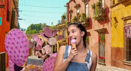¿Quieres refrescarte? El pueblito de Guanajuato donde puedes probar una nieve de nopal morado