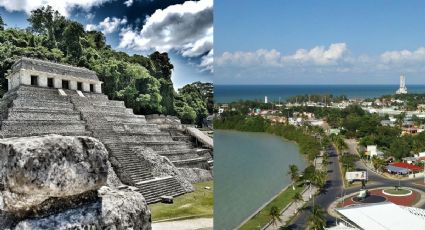 Tren Maya: Cuáles son los horarios para viajar en sus vagones de Palenque a Chetumal