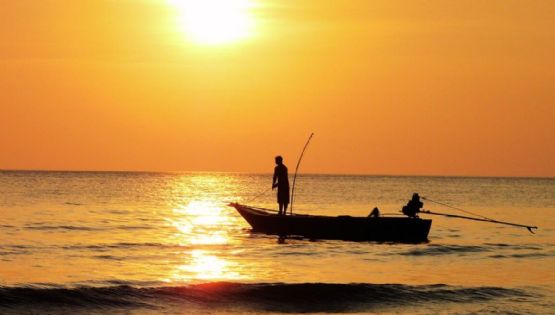 ¡Increíble captura! Pescadores sacan del mar una especie de 300 kilos en este destino
