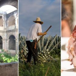 Hidalgo espera a los viajeros foodies con el Festival del Cordero y el Mezcal: FECHA