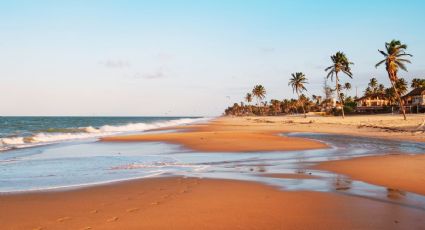 ¿Cuánto pagas por volar del AIFA a Mazatlán en 2025? Precios y aerolíneas