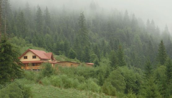 ¿Amas la lluvia? El Pueblo Mágico con cabañas entre niebla para disfrutar la temporada