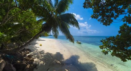 Descubre la playa escondida más hermosa de Jalisco que solo mide 10 metros