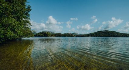 ¡No es Bacalar! La laguna que cambia de color en un pueblo de Nayarit