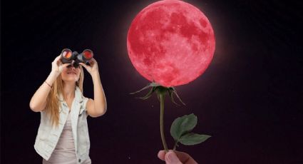 Luna de flores: ¿Qué es la microluna y cuándo podrás verla en México?