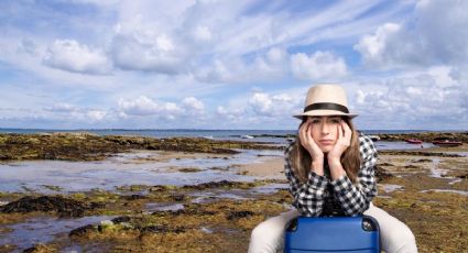 Verano 2025: ¿Cuáles serán las playas con MENOS sargazo para disfrutar tus descansos?