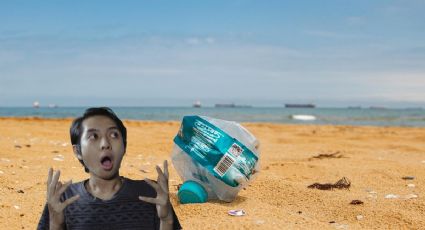 ¿Por qué debes EVITAR llevar plásticos a la playa en tus próximas vacaciones?