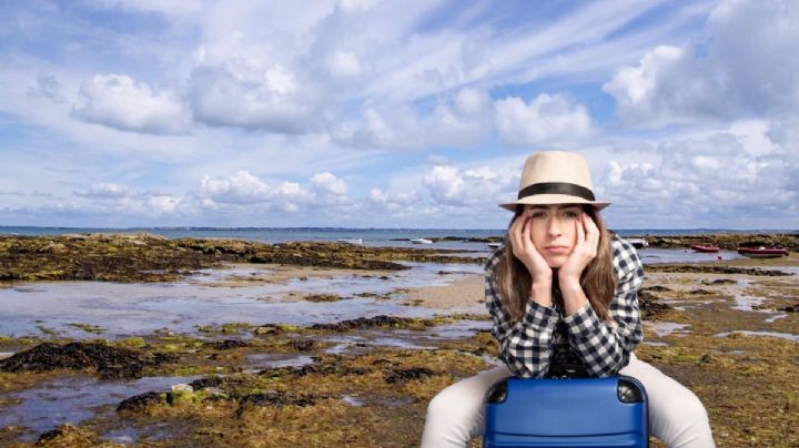 Verano 2025: ¿Cuáles serán las playas con MENOS sargazo para disfrutar tus descansos?