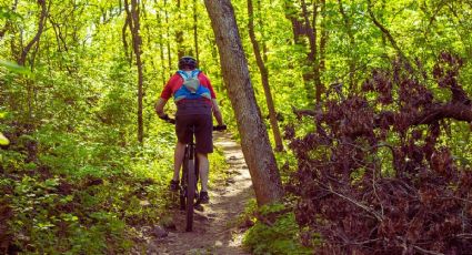 Tour en bicicleta por Mérida: Conoce sus manglares y nada en un cenote escondido