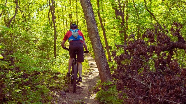 Tour en bicicleta por Mérida: Conoce sus manglares y nada en un cenote escondido