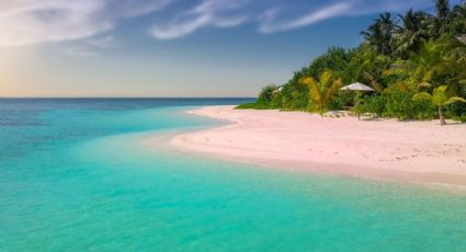 La playa escondida de Campeche que muy pocos conocen y es perfecta para vacacionar sin turistas