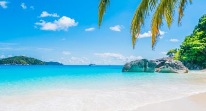¿Cuáles son las playas con MENOS sargazo para disfrutar en Yucatán?