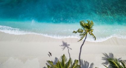 Verano 2025: ¿Cuánto sale un viaje de 3 días a la playa paradisiaca más cercana a CDMX?