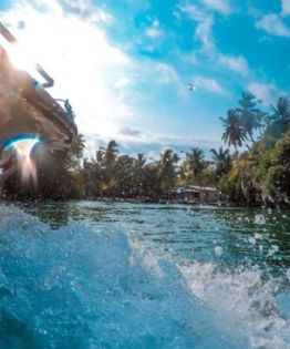 ¿Cuánto sale un viaje en lancha por el Amazonas mexicano para recorrer manglares ocultos?