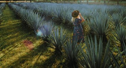 Descubre el Pueblo Mágico de Jalisco con tequila, danzas, tradiciones vivas y cañadas naturales