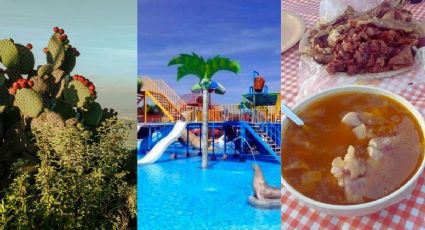 Hidalgo tendrá Festival de la Barbacoa en balneario de aguas termales de Ixmiquilpan