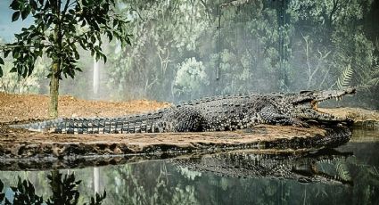 El cenote en forma de ‘cocodrilo’ que conecta la frontera de México y Belice