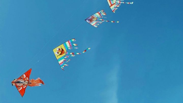 Festival Papalotl 2025 llega a Hidalgo con actividades para un viaje en familia