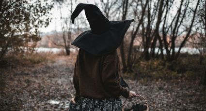 Viajes de miedo: El bosque más terrorífico de México que puedes encontrar a una hora de CDMX