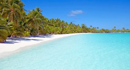 Estas son las playas de Quintana Roo libres de sargazo para viajar la primera semana de junio