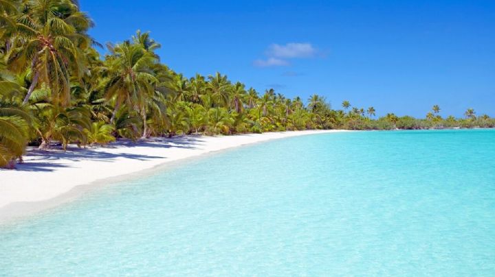 Estas son las playas de Quintana Roo libres de sargazo para viajar la primera semana de junio