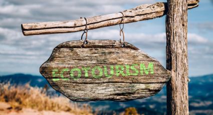 Rutas ecológicas en México: destinos sostenibles y experiencias únicas para este verano