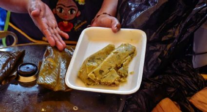 Día del Tamal: Pueblitos de México donde puedes probar estas delicias en tu viaje