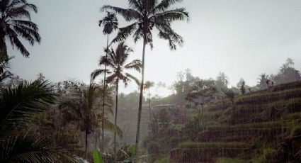 Llega ‘Andrea’ la primera tormenta tropical en el Atlántico, ¿afectará tus vacaciones en Cancún?