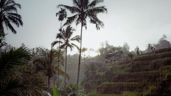 Llega ‘Andrea’ la primera tormenta tropical en el Atlántico, ¿afectará tus vacaciones en Cancún?