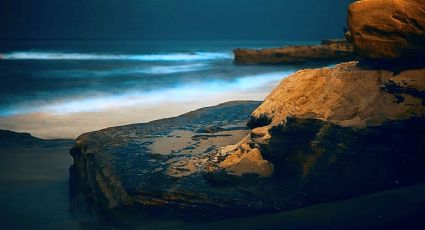 Las bellas playas donde los delfines brillan en las noches en un espectáculo único