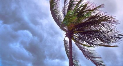 Tormenta tropical Flossie: Destinos de México en los que se pronostican lluvias intensas