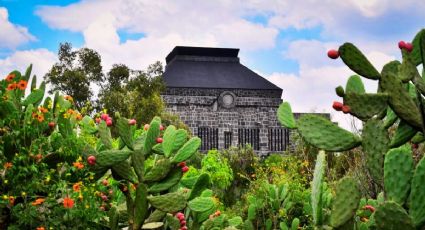 Festival de la Cocina Mexicana llega al Museo Anahuacalli para deleitar a los visitantes