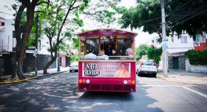 ¿Visitas la CDMX? Así puedes disfrutar un recorrido en el Hormibús