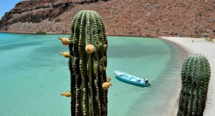 ¿Cuál es el municipio más tranquilo para vivir en Baja California?